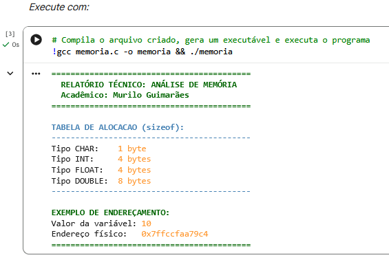Implementação do código em C